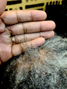 Breakage at the Root of Locs